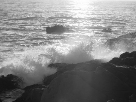 Sea Ranch