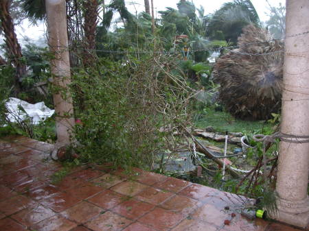 Hurricane Damage