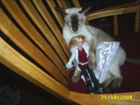 lEO OUR SIAMESE cAT WITH HANNA MONTANA DOLL