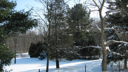 Winter 2009 at Sage Spirit Terra