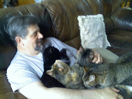 My husband, covered with kitties!