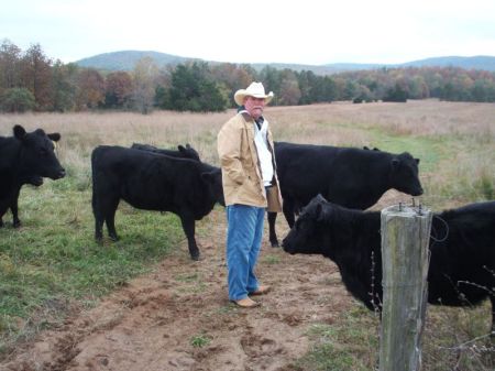 Eddie and his cows
