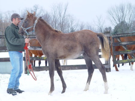 The Boyfriend with one of last springs Nicest