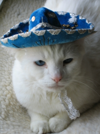 you went to mexico and all I got was this hat!