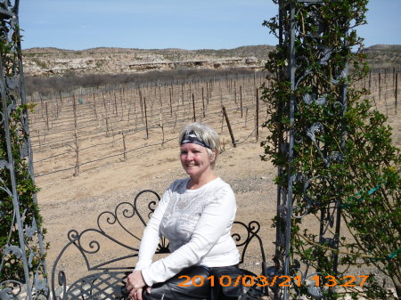 visit to the az winery