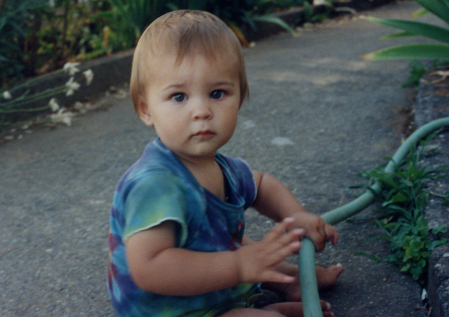 1991- 187 Greenfield Ave - Forest in Garden