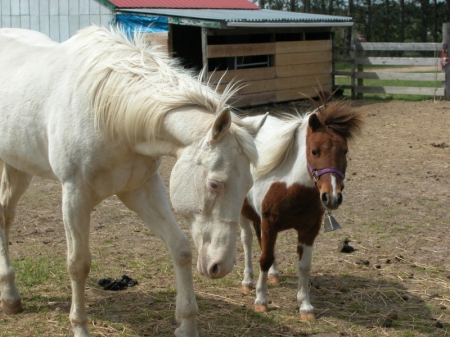 Angel and Willow.