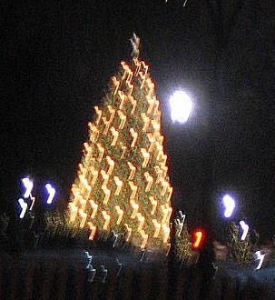 National Christmas Tree DEC 08