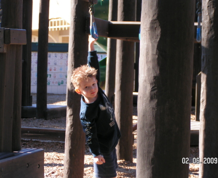 Baylor just "hanging" out at the park