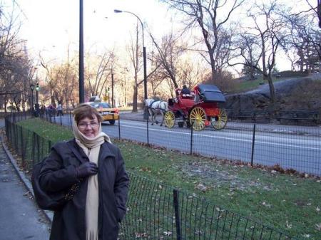My wife Danette (Dani) in NYC's Central Park