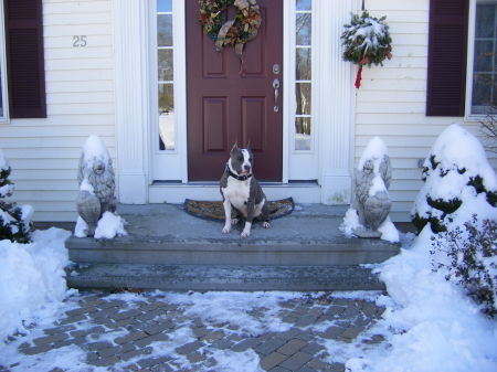 Christmas in Connecticut