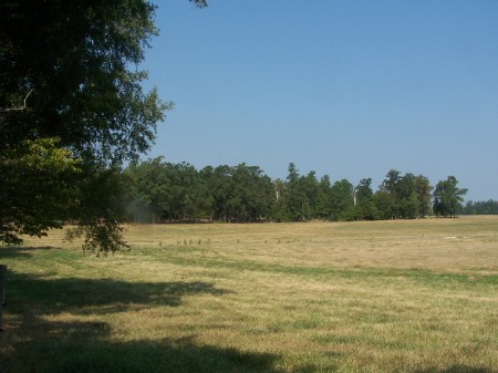 North Carolina Farm