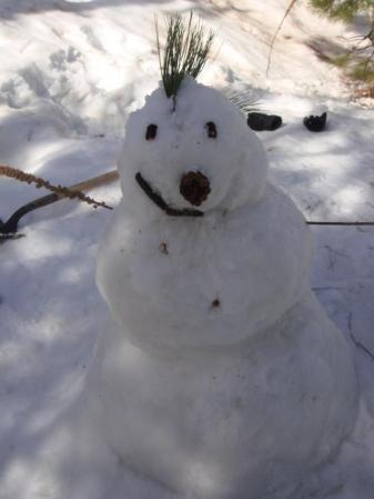 Steve the snowman