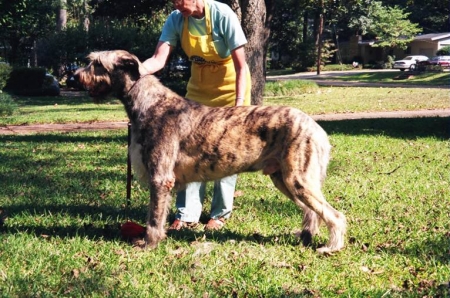 Sweeney and his breeder, Mary