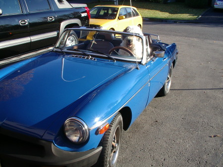 our dog merlin in 1977 MGB
