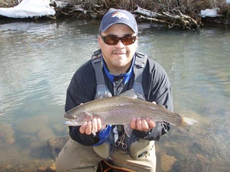 Rainbow trout