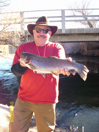 Catch and Release Rainbow Trout 7+ pounds