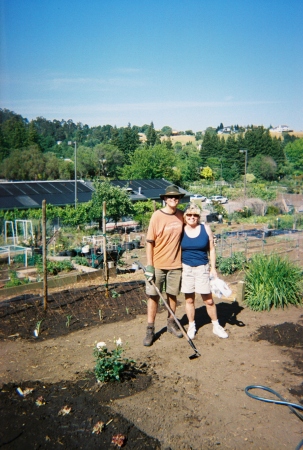 Our community garden plot