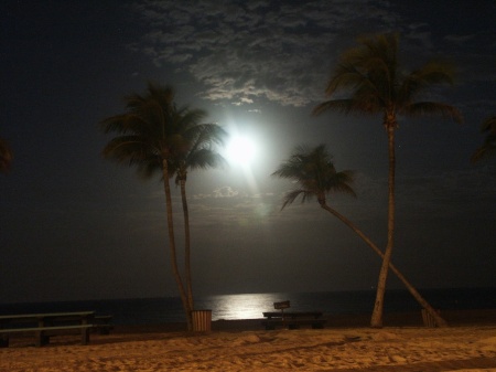 Moonrise Over South Beach