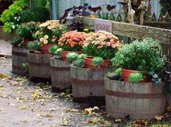 flowers at story, indiana