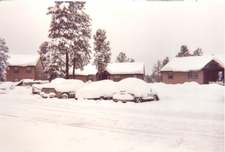 Blizzard Snowfall-Flagstaff-Winter 2010