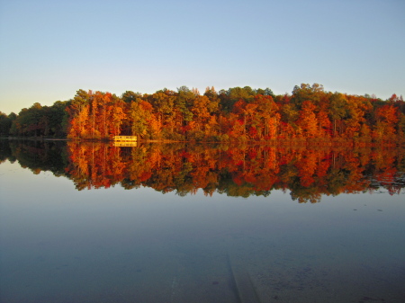 Tribble Mill Lake