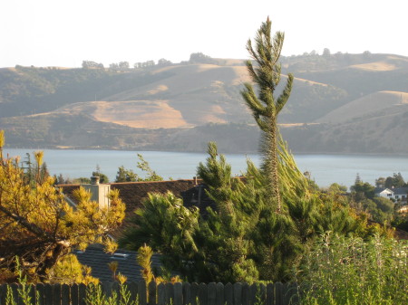 Carquinez Straights