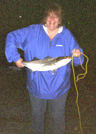 25" 10 lb Striper