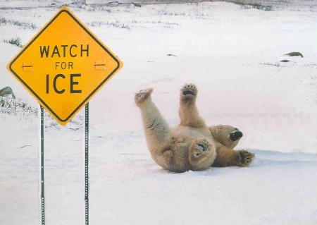 Watch out for the ice