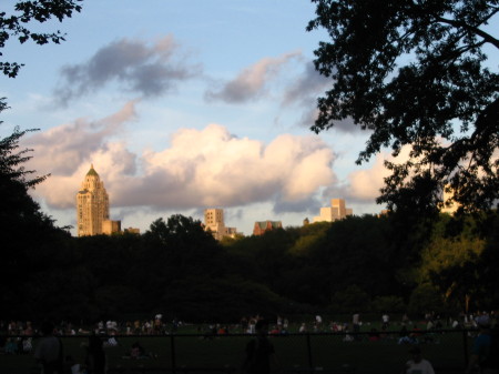 New York at the park