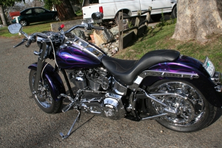 Our First Harley