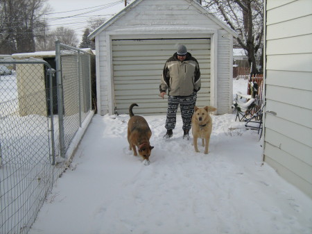 Ian and the Dogs.