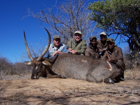 South Africa Waterbuck