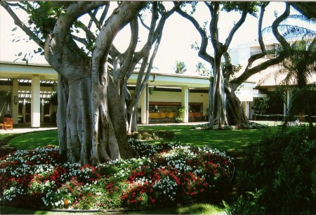 Maui Marriott