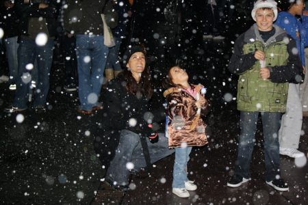 Disneyland "Snow" Dec 2008