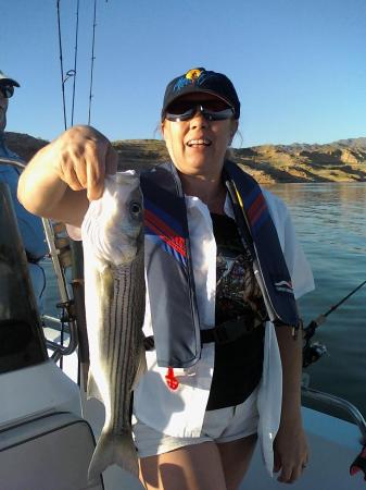 Fishing Lake Mead