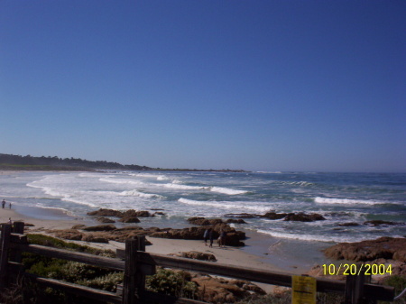 Beautiful Monterey Bay