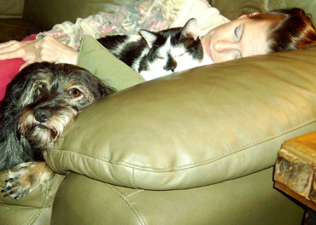 Couch Critters