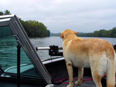 Lizzie enjoying a boat ride