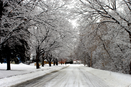 My Street