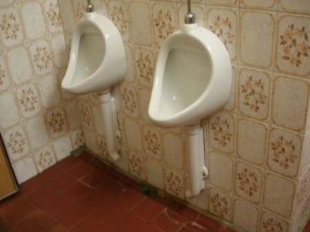 Urinals at the Hofbrau