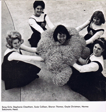 John Cloud's album, Yearbook Wilcox 1966