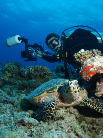 Palau underwater