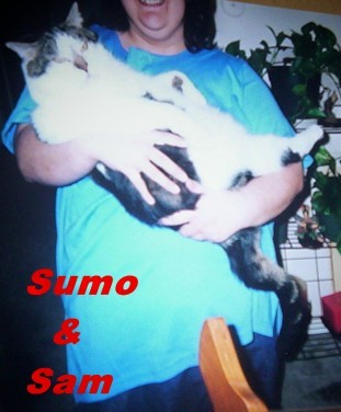 Sumo my baby cat