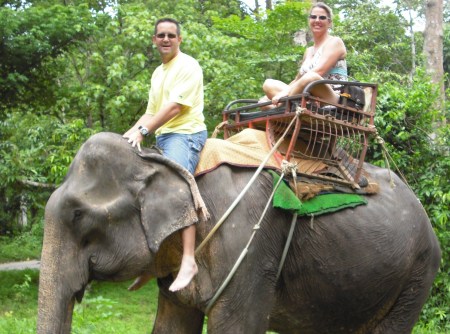 Elephant riding in Thailand