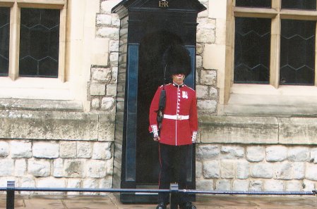 TOWER GUARD