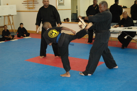 Son testing for purple belt 2008