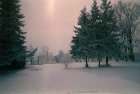 winter view from front of the house