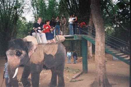 Elephant Ride in India