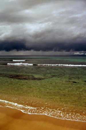 Northwest Coast - Maui 2006
